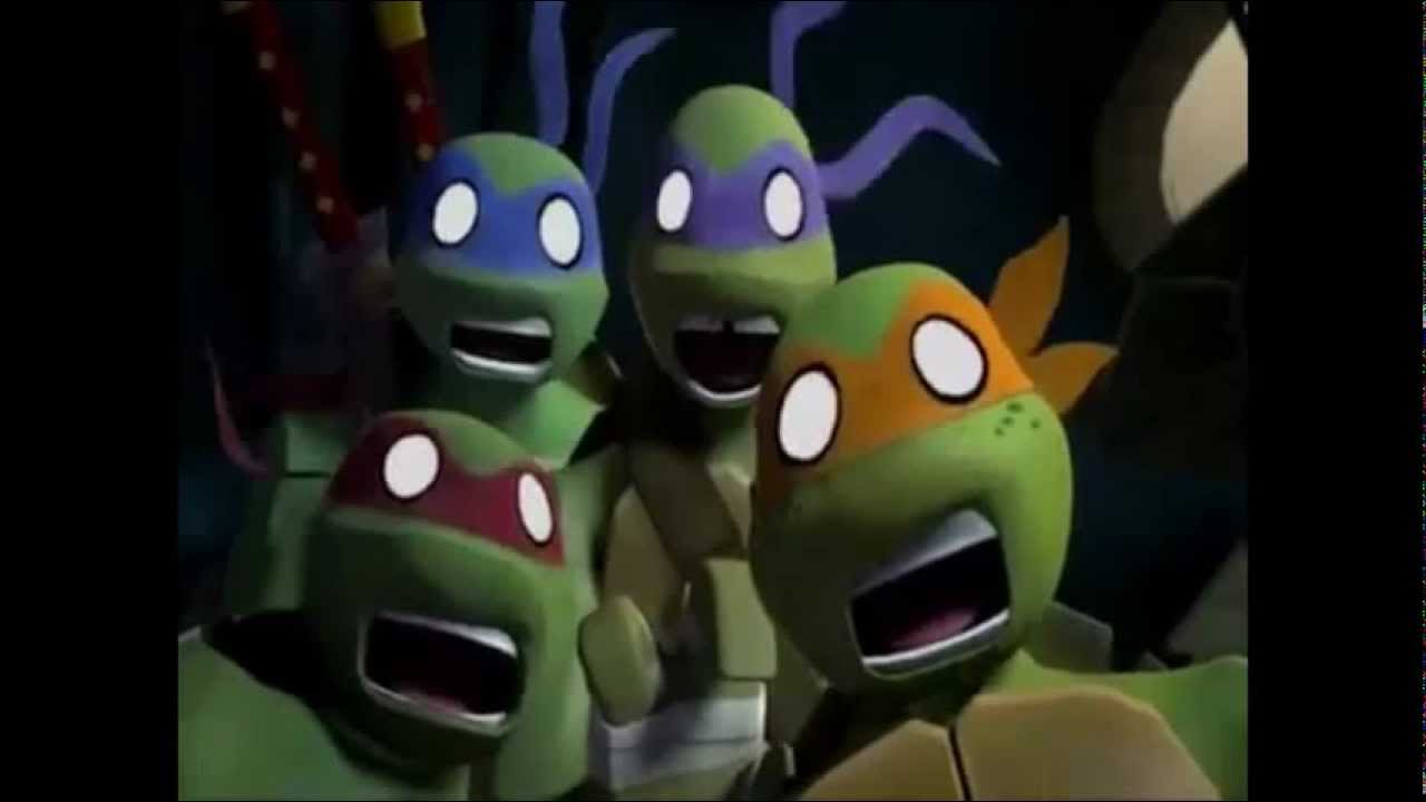 screaming frog videos